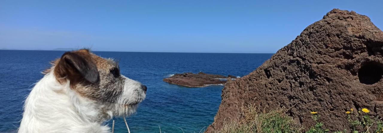 Gioiellino Sardo Leilighet Castelsardo Eksteriør bilde